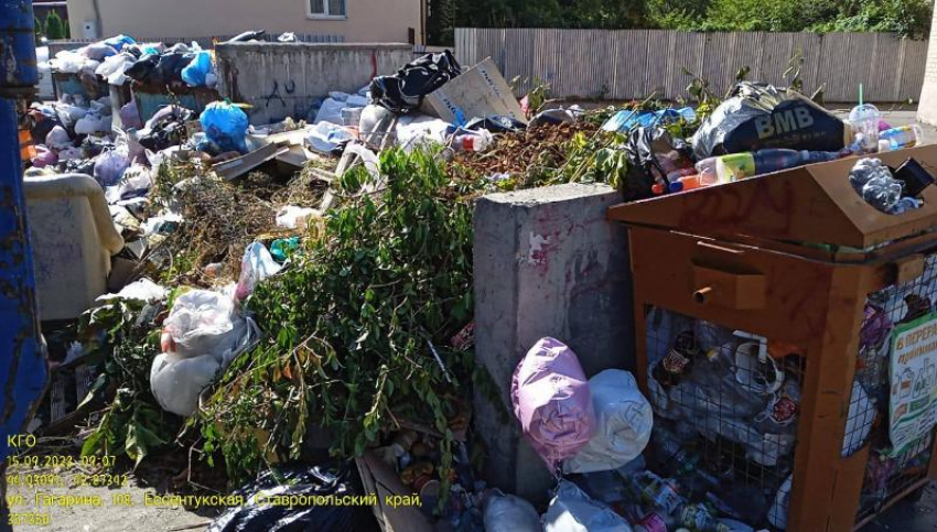 Глава Предгорного округа Ставрополья высказался о местных «грязнулях»