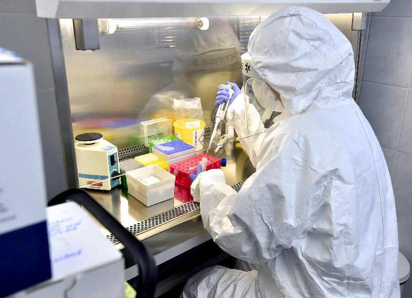 На Ставрополье врачи ПЦР-лабораторий круглосуточно проверяют тесты на коронавирус