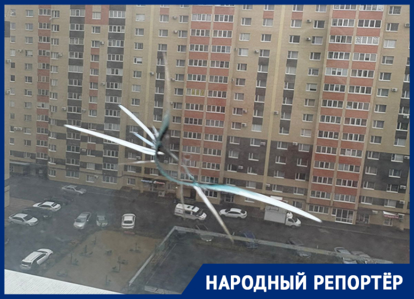 Неизвестный стрелял по окнам в юго-западном районе Ставрополя