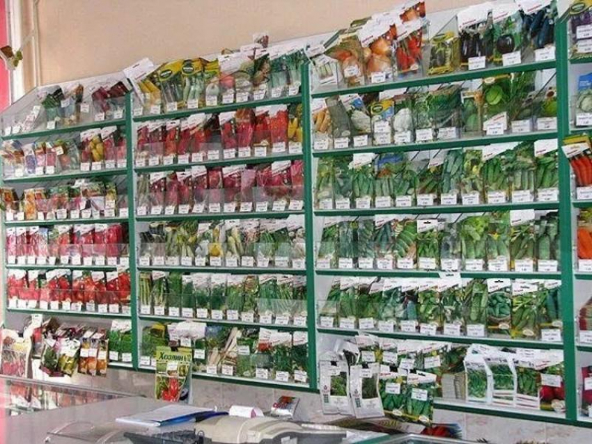 Более 160 сортов семян сомнительного качества продавали на ставропольской интернет-площадке