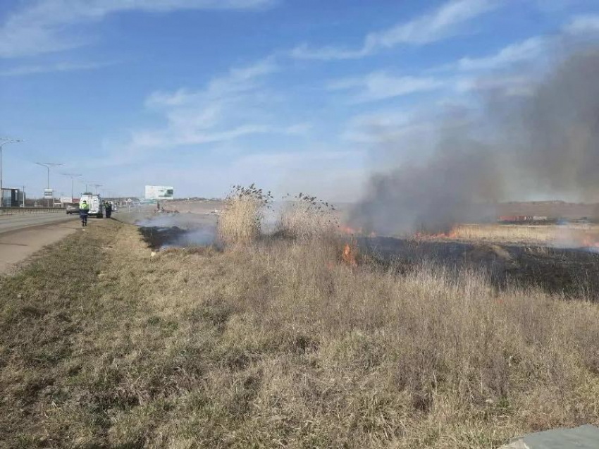 Более 400 гектаров сухостоя сожгут на окраинах Ставрополя 