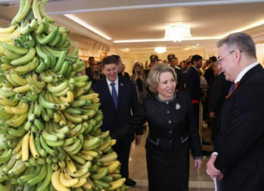 «Бананы точно будут»: губернатор Ставрополья вновь поднял тему заморской ягоды на отечественных прилавках 