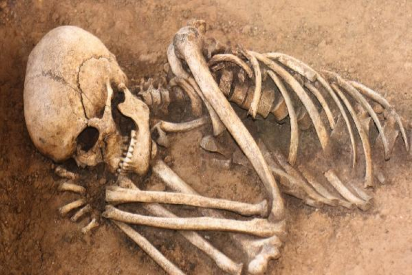 Человеческие кости раскопали жители частного дома в Ставрополе