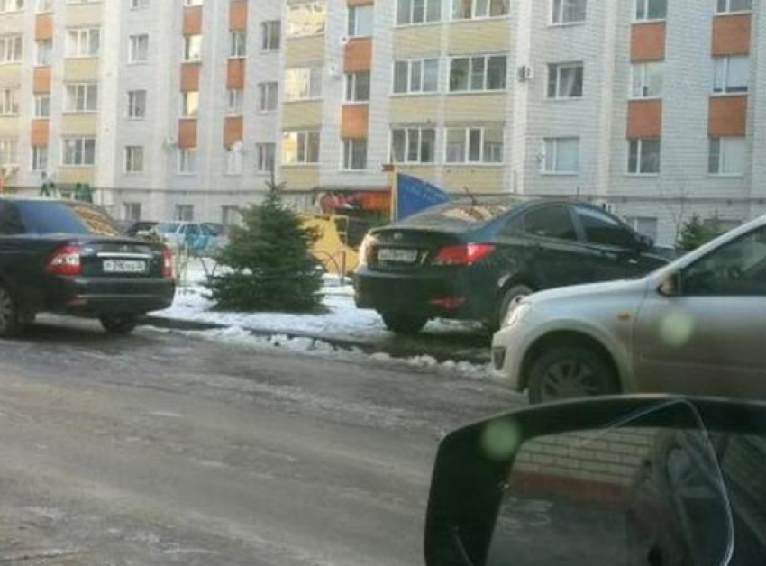 Автохам на иномарке уютно разместил машину на газоне микрорайона Перспективный
