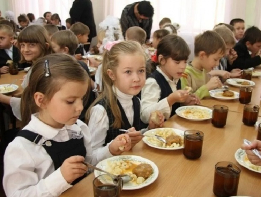 «Перцев не перестает удивлять»: жители Минвод пожаловались на отмену бесплатных завтраков для школьников 