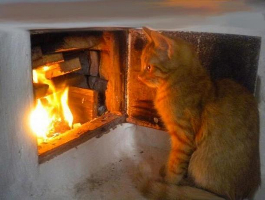 Пожар в доме на Ставрополье могла устроить кошка