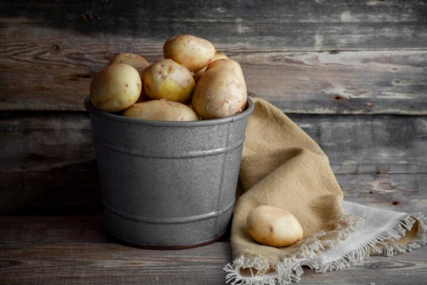 Сажать картофель в этом году собираются 4 из 10 жителей Ставрополья