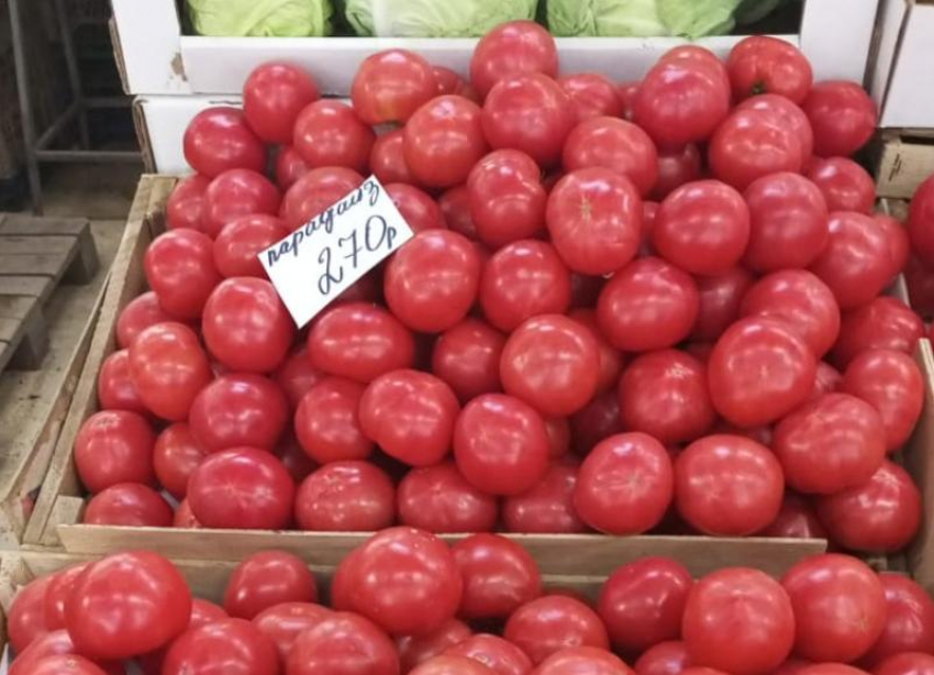 Огурцы сдались, помидоры держат оборону: Севкавказстат зафиксировал овощную войну на Ставрополье