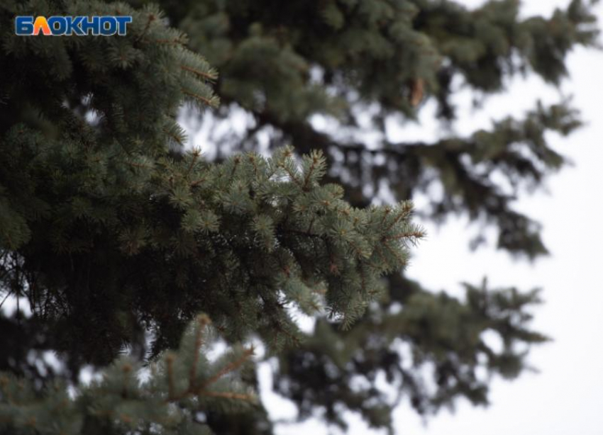 Резкое похолодание до +1 градуса пообещали ставропольцам уже в конце рабочей недели