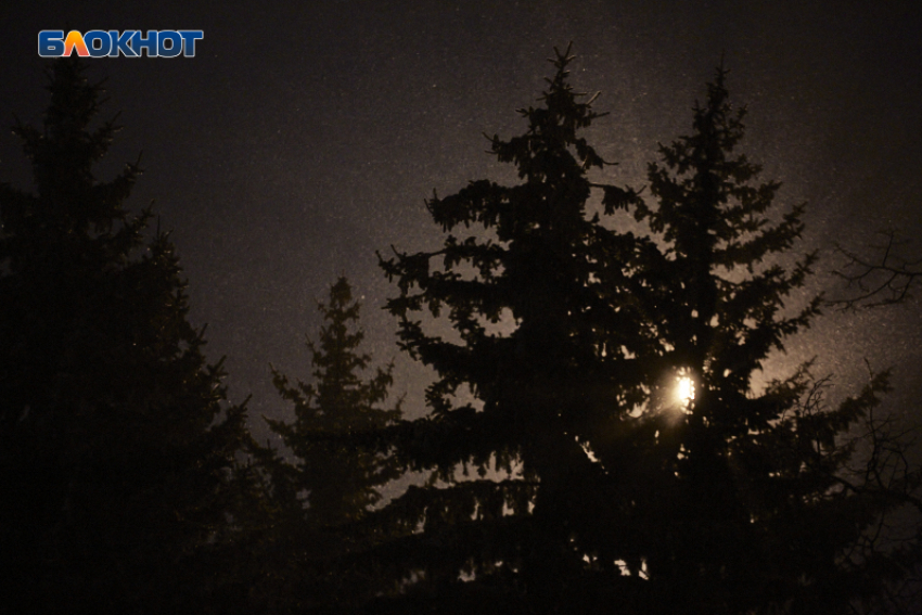 Похолодание до -6 градусов и сильный ветер вернутся 22 февраля на Ставрополье