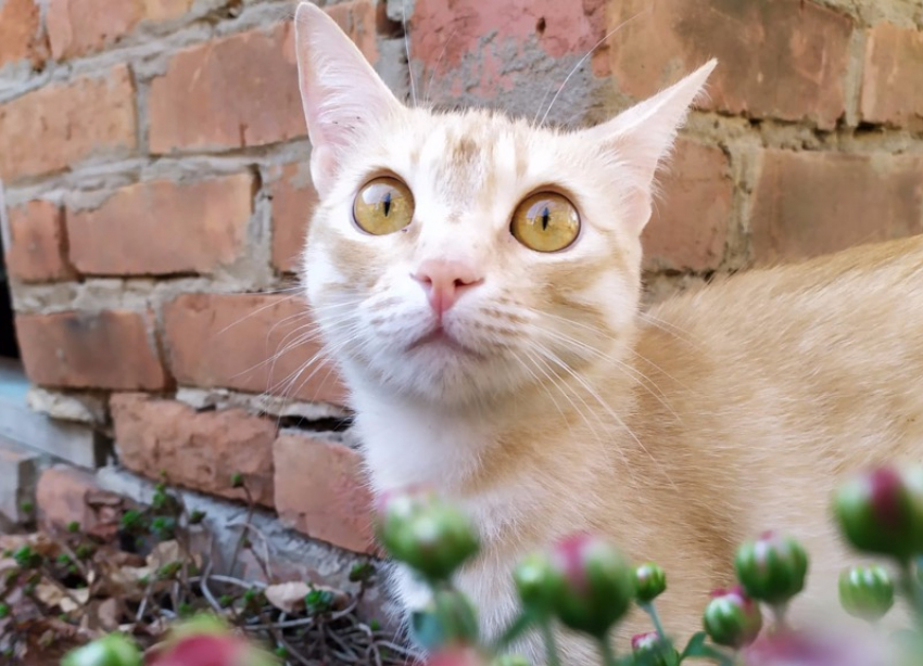 В четверг в Ставрополе резко потеплеет: до +15 и солнечно