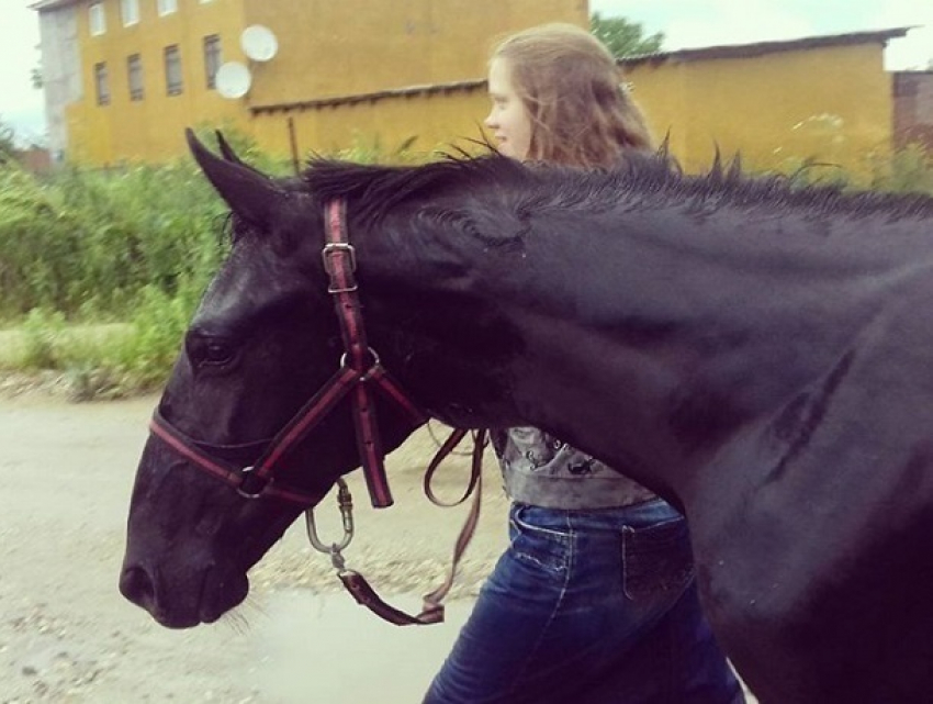 Подаренного Путиным коня с говорящей кличкой похитили на Ставрополье