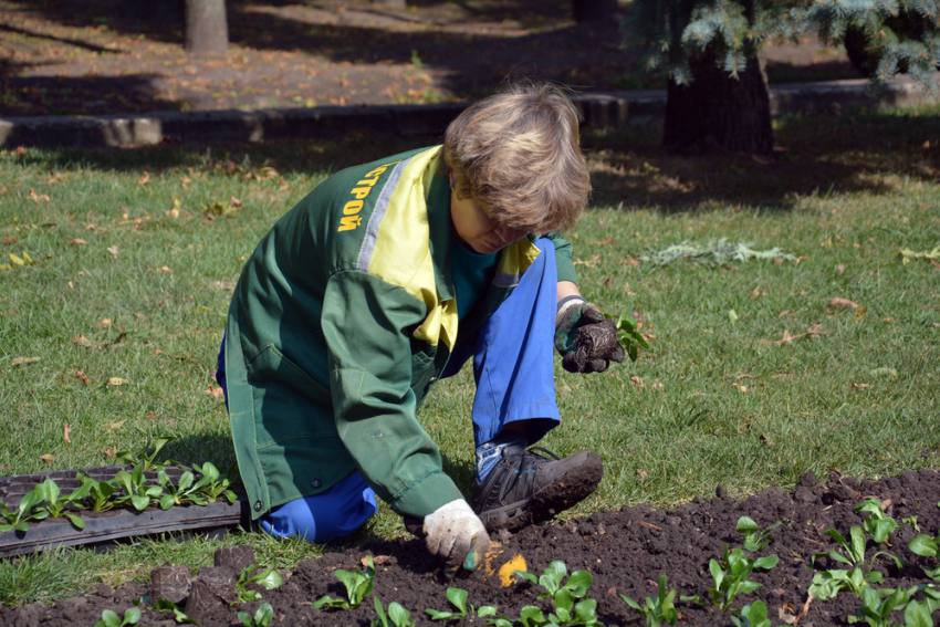 Санитарная очистка улиц началась в Ставрополе