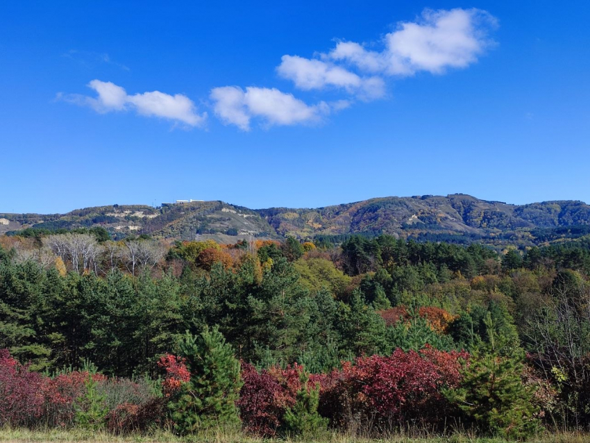 Курорты Кавказских Минеральных Вод попали в список лидеров по чистоте воздуха