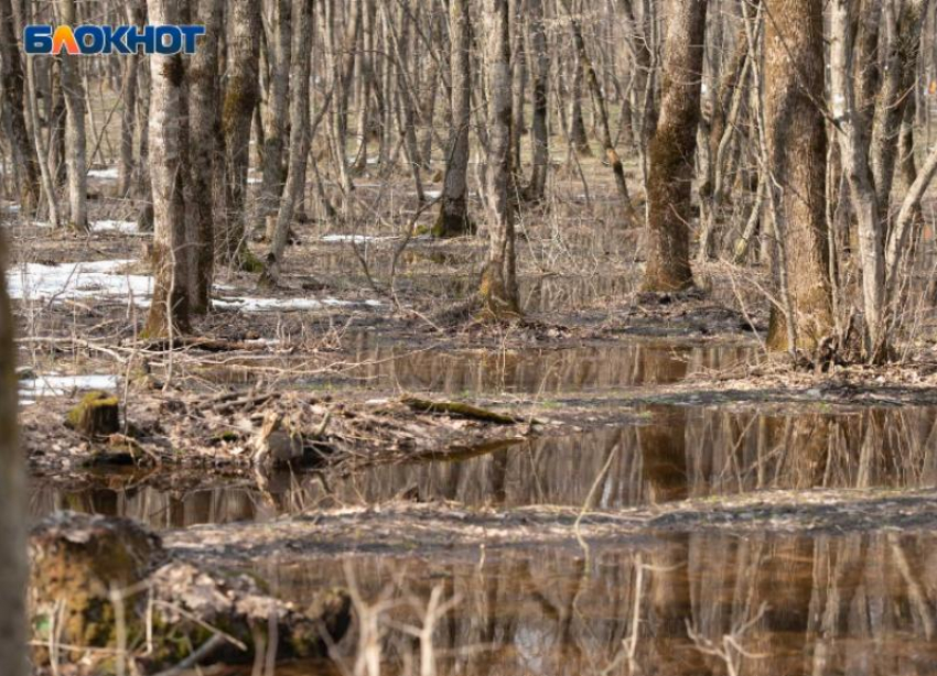 Туманы и дожди решили не расставаться со Ставрополем и 13 ноября 