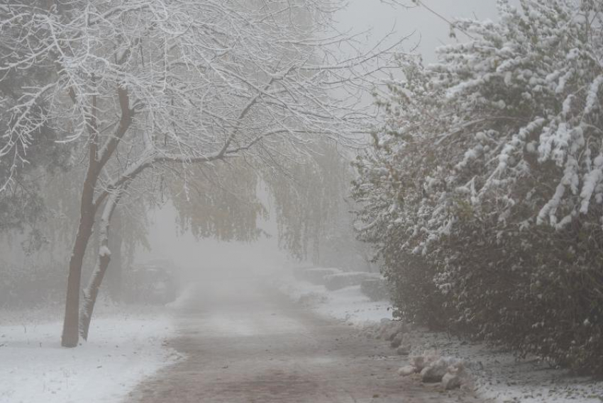 Гололед и туман ожидаются на Ставрополье 16 декабря