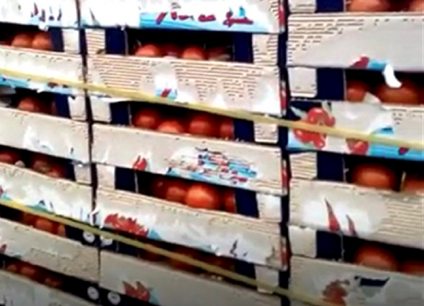 Две тонны «неопознанных» помидоров уничтожили на мусоросжигательном заводе в Пятигорске