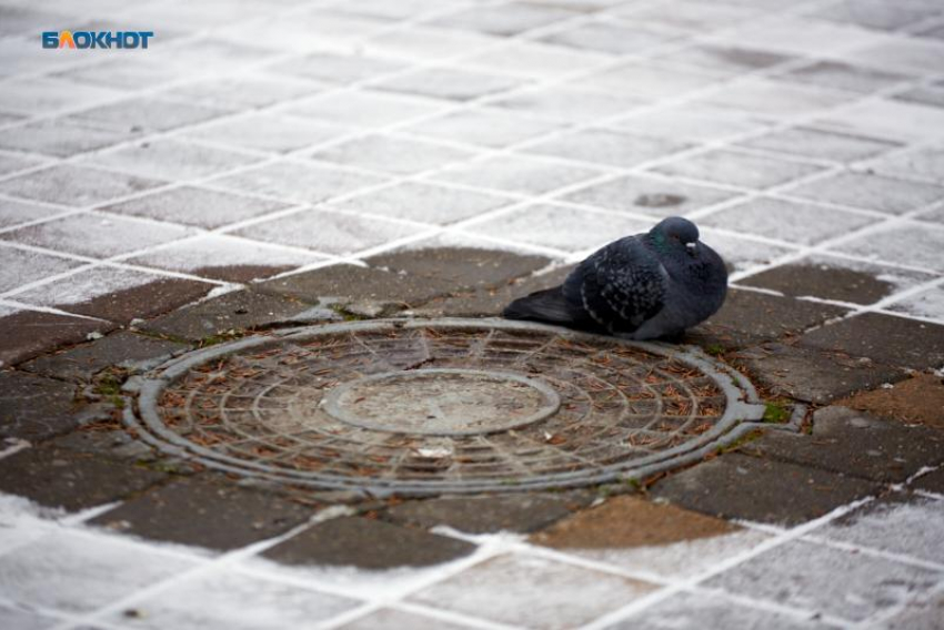 Дождь и падение температуры до +6 градусов днем обещают ставропольцам в первый день февраля