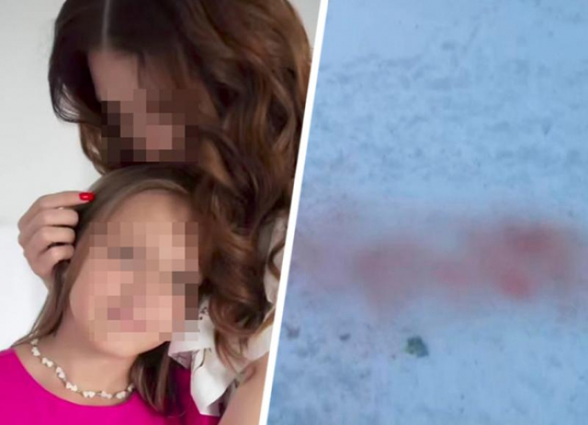 Школьницу в Ставрополе могли загрызть приблудные собаки: защита хозяйки шести псов озвучила свою версию событий