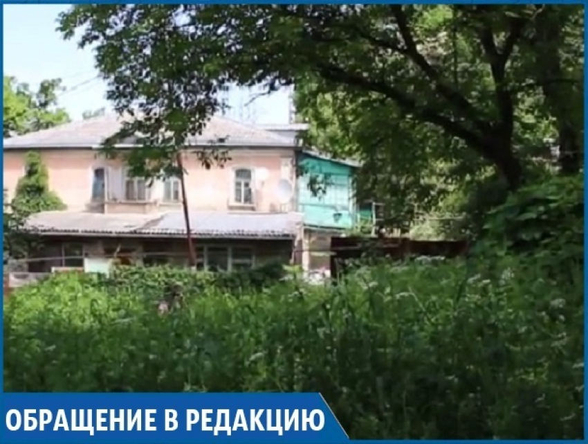 «Бурьян и амброзия в человеческий рост в центре города-курорта — это просто позорище», - житель Кисловодска