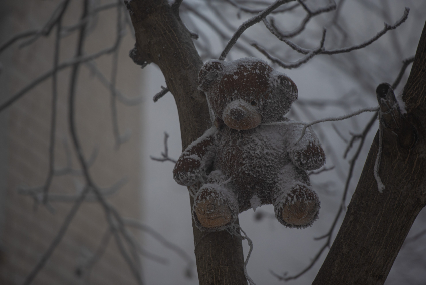 Резкое похолодание до -14 градусов снова придет на Ставрополье