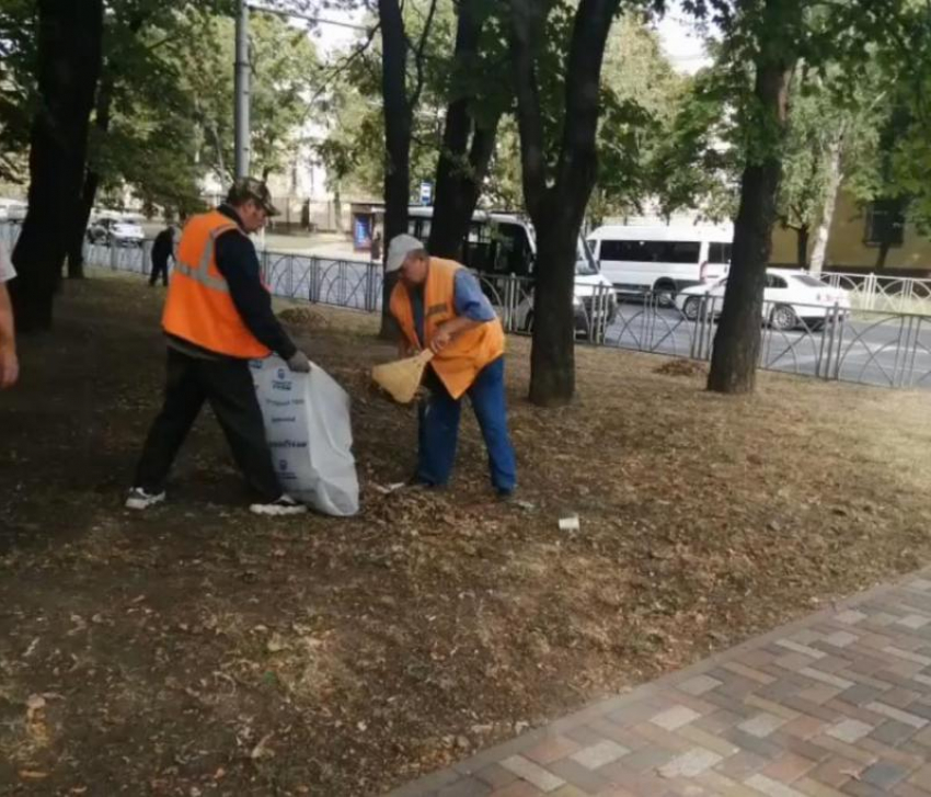   Больше 20 тысяч человек вышли на субботник в Ставрополе