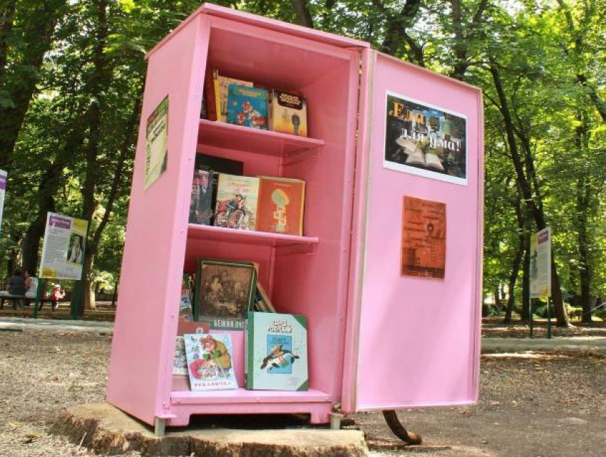 Розовый холодильник в Ставрополе подарит книгам новую жизнь