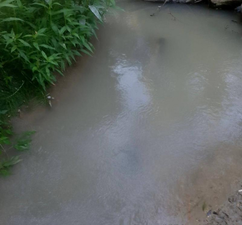 Слив канализации в реку Чла в Ставрополе заподозрили местные жители
