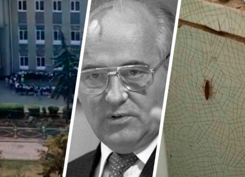 На Ставрополье вспомнили Горбачева, спели «Малиновую Ладу» на линейке и показали больницу с тараканами  