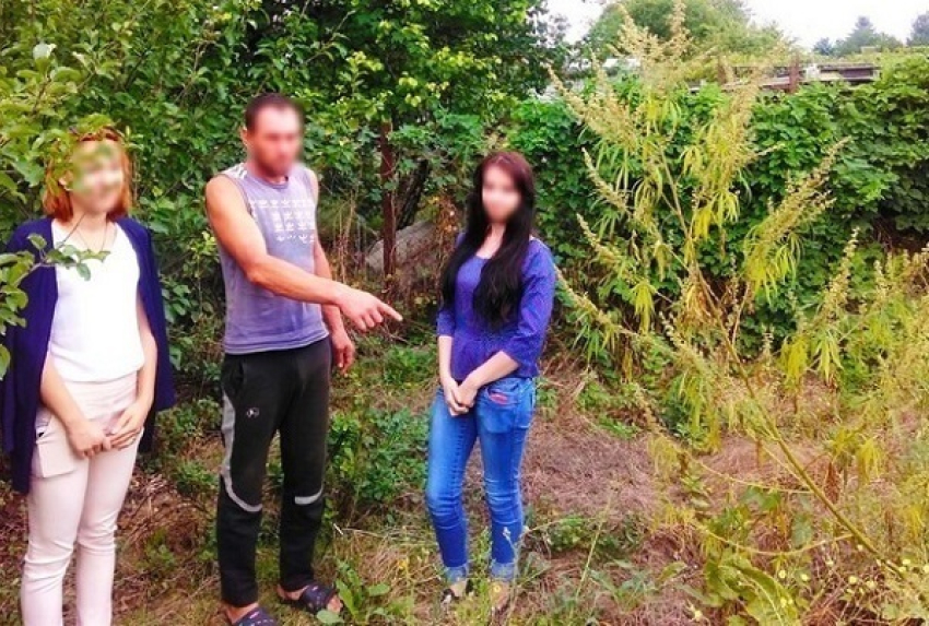 Полтора килограмма выращенной в огороде марихуаны обнаружили у жителя Ставрополья