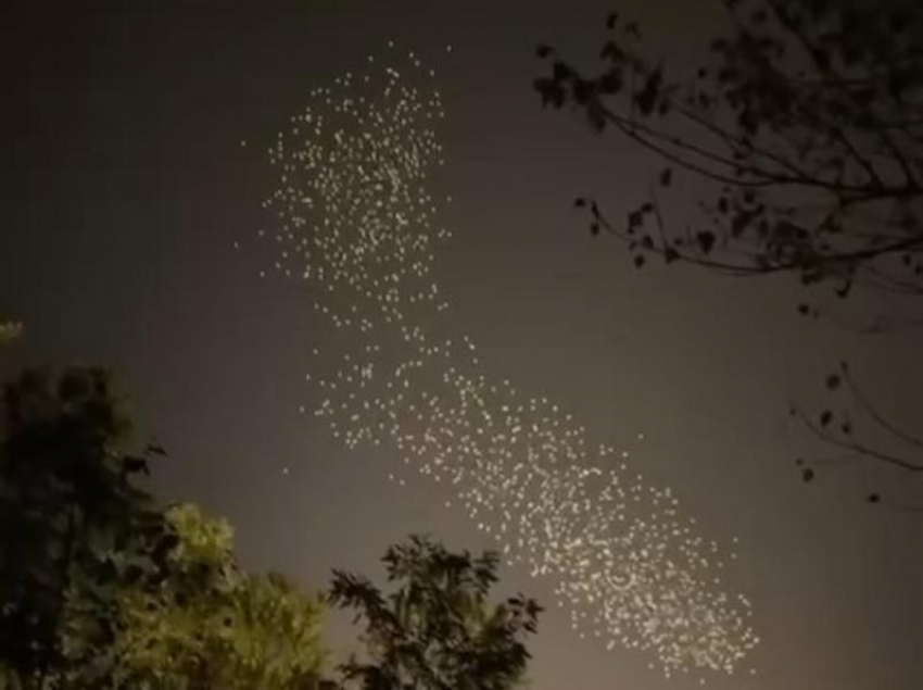 Как рыбы из «В поисках Немо», только в небе: над Ессентуками птицы устроили мурмурацию