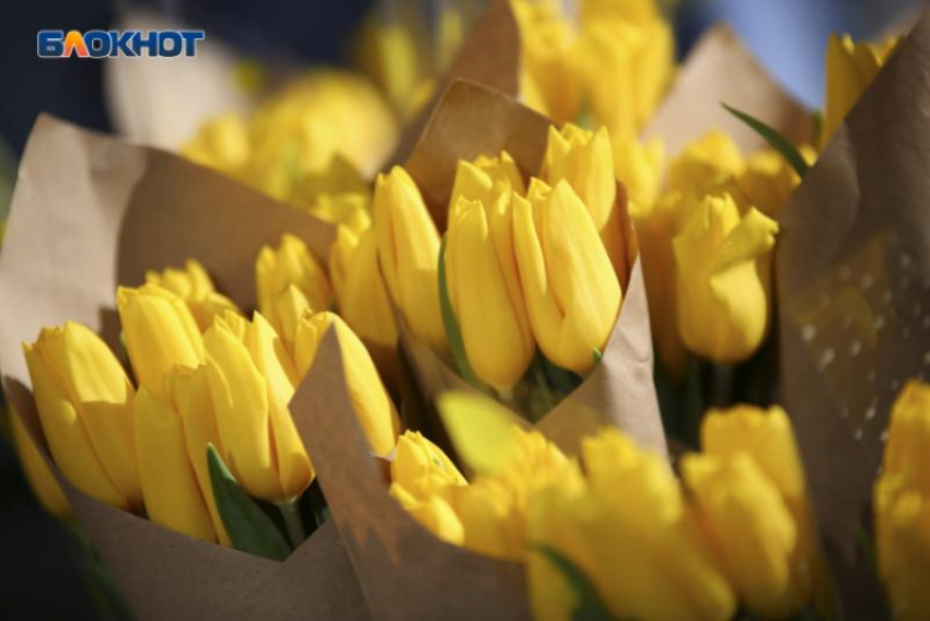 Дарите женщинам цветы? Власти Ставрополя потратят 2 миллиона на букеты