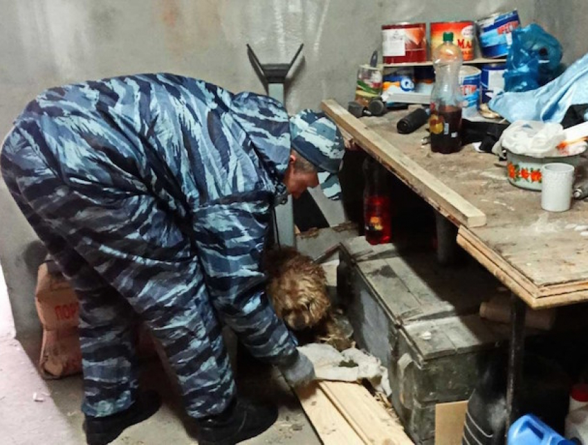 Лавочка закрыта: полиция ликвидировала наркопритон в Курском районе Ставрополья