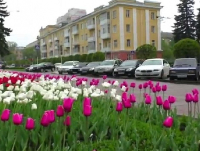 Тепло до +16 градусов ждет жителей Ставрополя на выходных