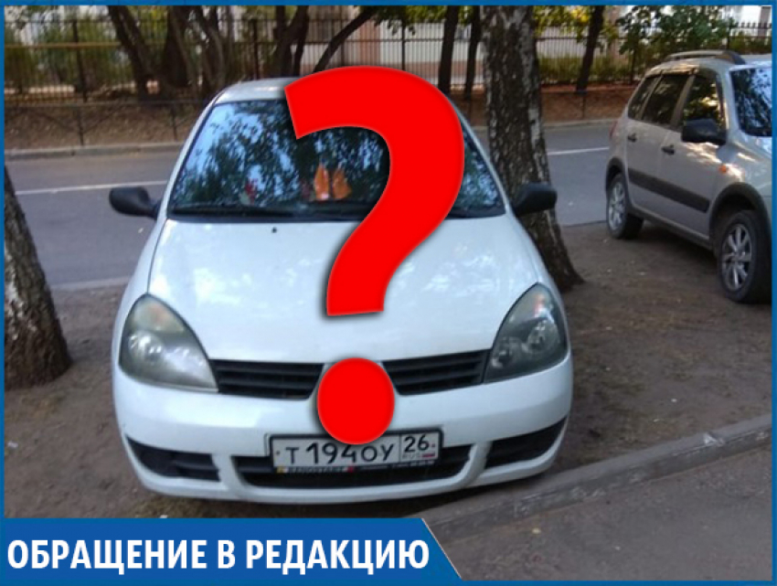 "Ставрополь, але, вы что там?» - родственник оштрафованного нарушителя остался недоволен бдительностью жителей краевой столицы