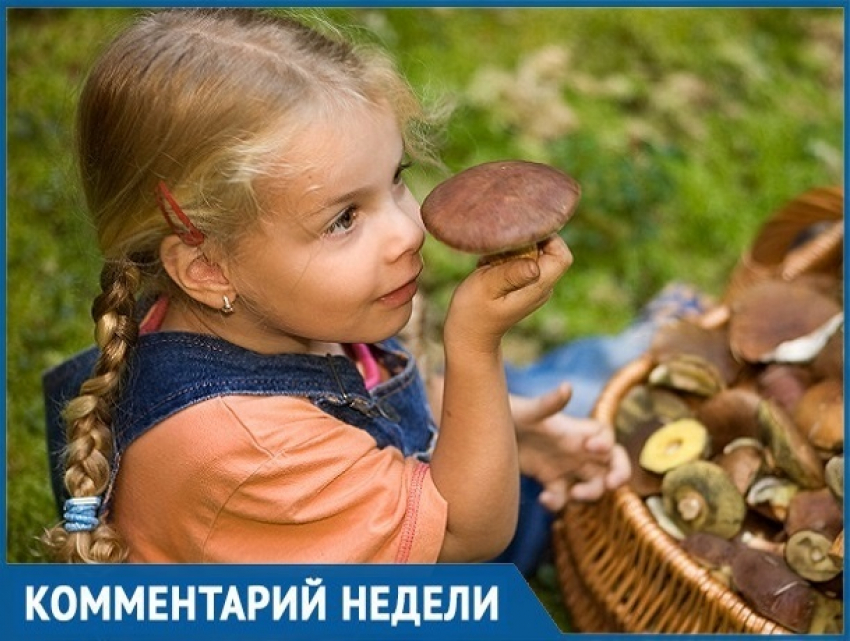"Сезон открыт": как отличить ядовитый гриб от хорошего рассказал ставропольский биолог 
