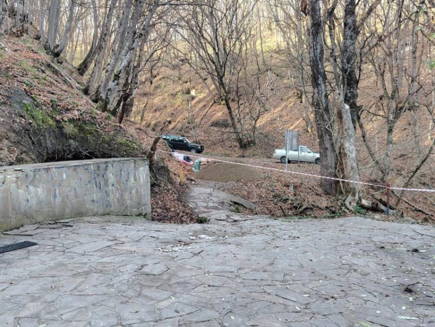 Территорию Таманского леса благоустроят в Ставрополе