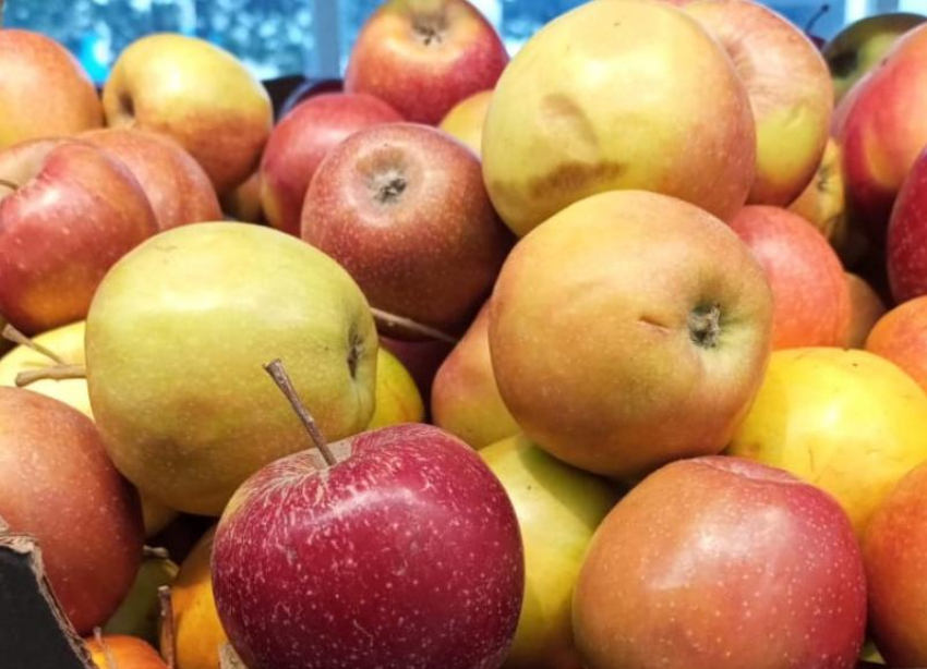 Ставропольскую агрофирму «Сады Бештау» признали банкротом 