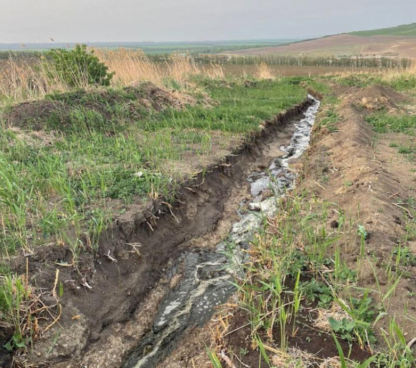 После массовой гибели рыбы в реке Кума надзорники обнаружили сброс навоза в Предгорном округе на Ставрополье