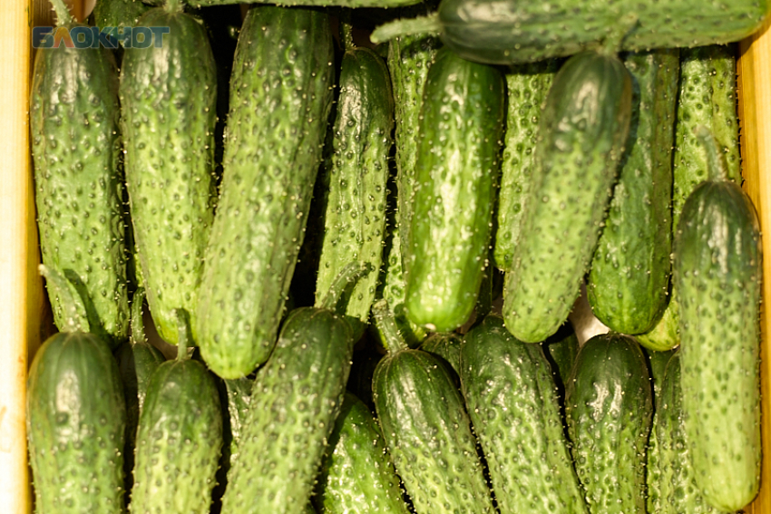 Спад цен на огурцы и картофель зафиксировали в Ставропольском крае