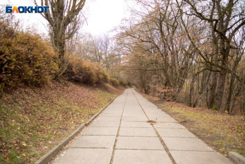 Что известно на сегодня о терренкурах в Таманском лесу Ставрополя: 7 троп, 24 миллиона и никаких вырубок