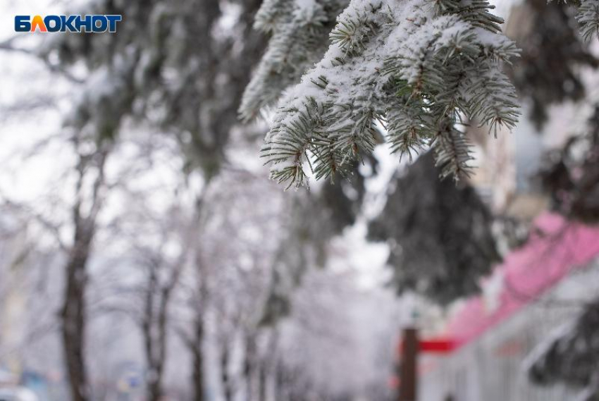 Морось, туман и гололед посетят Ставрополье 20 декабря