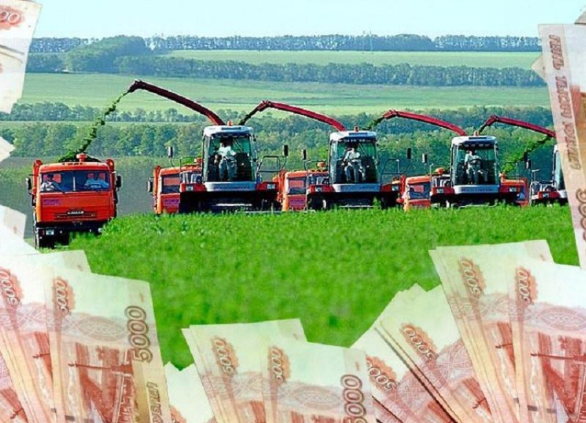 Группа ставропольских дельцов «кинула» «Росагролизинг» на 124 миллиона рублей