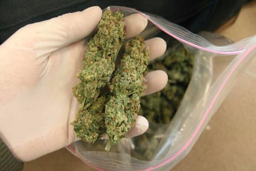 За хранение в автомобиле 1,5 кг марихуаны ставропольцу грозит до 10 лет тюрьмы