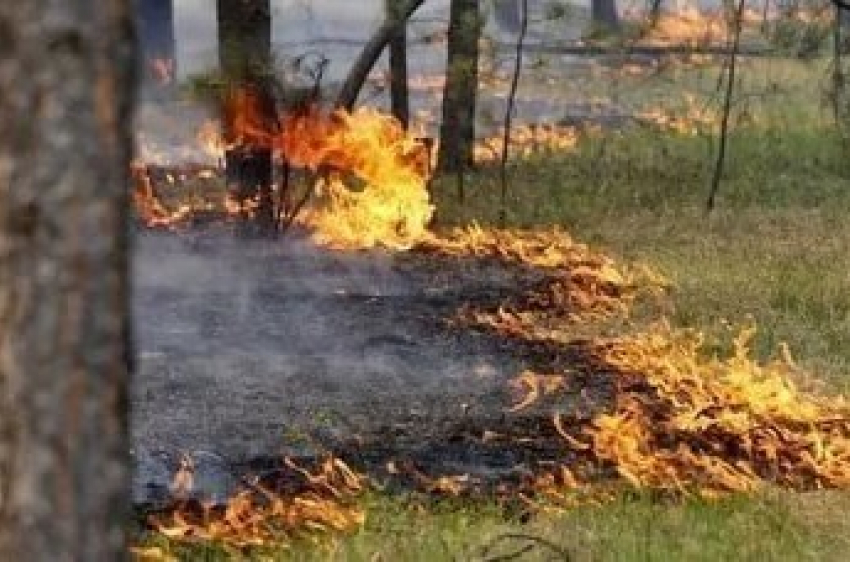 О высокой пожароопасности в понедельник предупредили жителей Ставрополья﻿