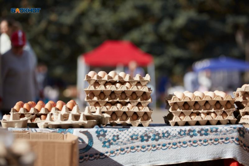 Министр экономразвития Ставрополья заявил о стабилизации цен на куриные яйца 