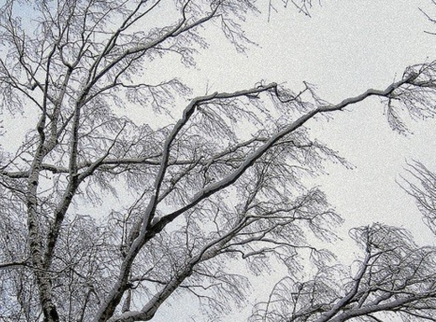 На Ставрополье еще сутки продержится сильный ветер