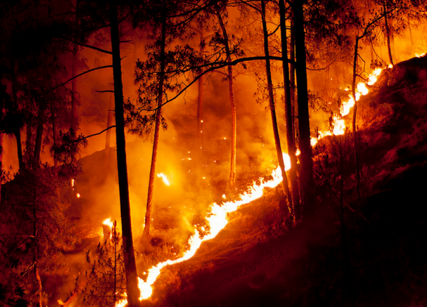 Половина Новомарьевской поляны сгорела в Ставрополе