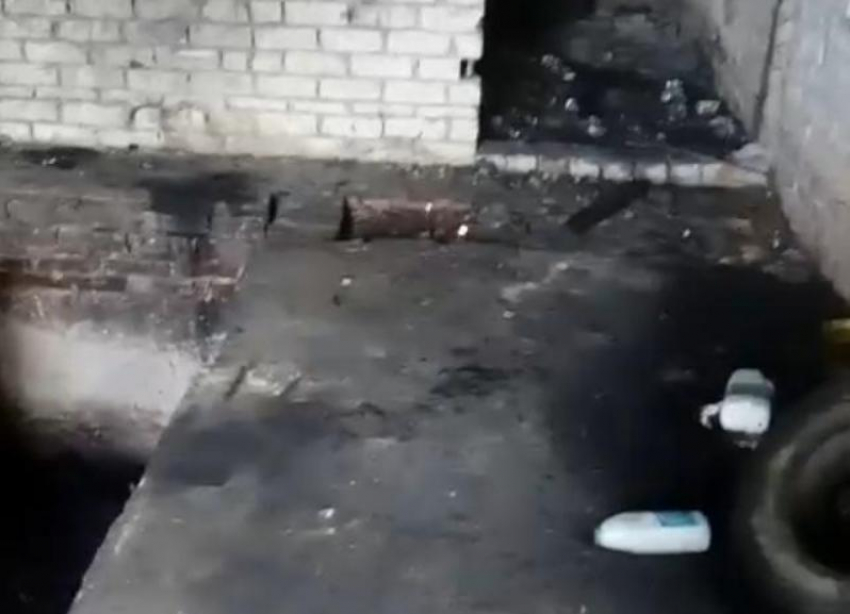 В Ставрополе подожгли заброшенную стройку с бездомными собаками 