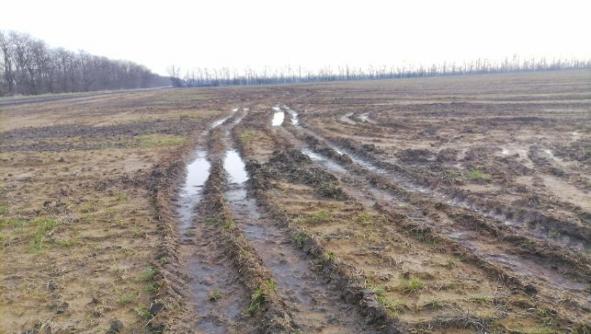 Фекалиями затопило сельхозугодия в Шпаковском округе 